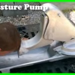 Cow can pump their own water