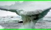 climate change