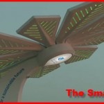 The Smart Palm