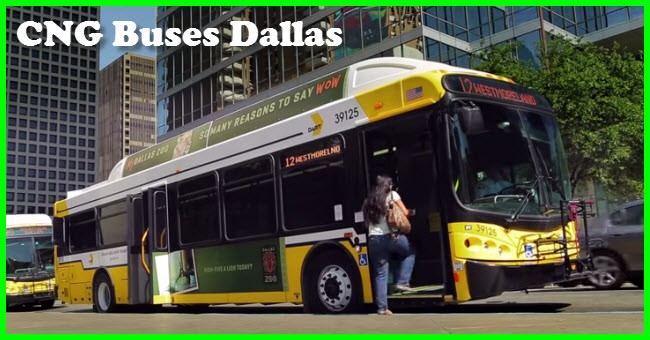 CNG Buses Dallas
