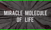 Miracle Molecule of Life