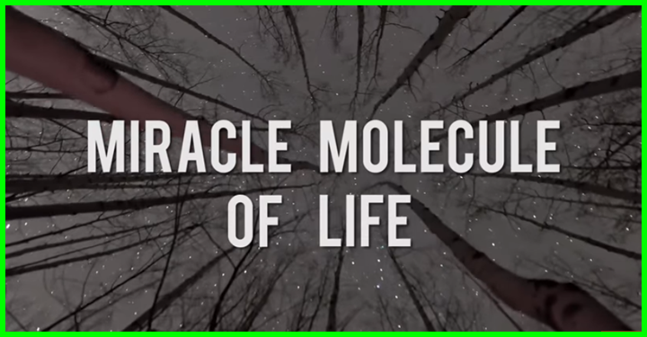 Miracle Molecule of Life